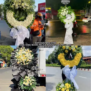 Đặt Hoa Chia Buồn tại Xã Phước Chỉ, Tây Ninh