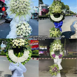 Đặt Hoa Chia Buồn tại Xã Thạnh Lợi, Tây Ninh