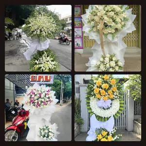 Đặt Hoa Đám Tang tại Phong Nha, Huyện Bố Trạch