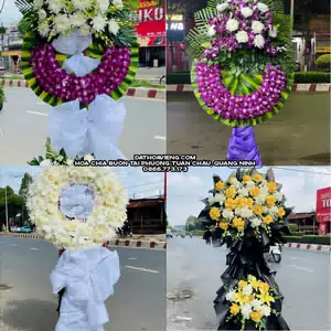 Đặt Hoa Tang Lễ tại Phường Tuần Châu, Quảng Ninh