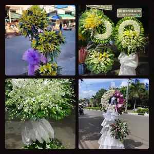 Đặt Vòng Hoa Tang Lễ tại Hoài Nhơn, Bình Định