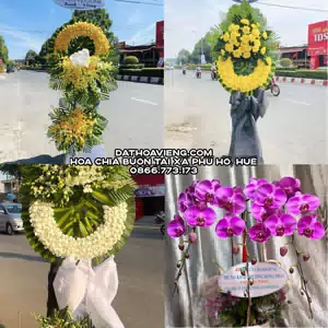 Đặt Vòng Hoa Viếng tại Xã Phú Hồ, Huế