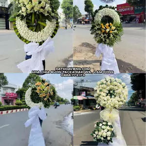 Hoa Chia Buồn tại Xã Đắk Wil, Lâm Đồng