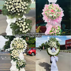 Hoa Chia Buồn tại Xã Ea Ning, Đắk Lắk