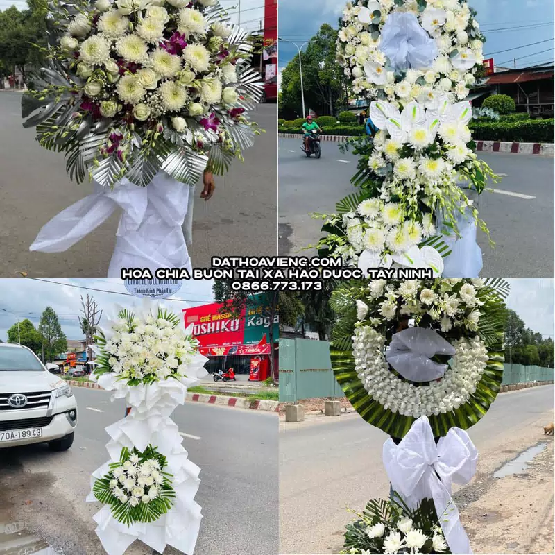 Hoa Chia Buồn tại Xã Hảo Đước, Tây Ninh