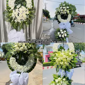 Hoa Chia Buồn tại Xã Krông Búk, Đắk Lắk