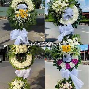 Hoa Chia Buồn tại Xã Long Cang, Tây Ninh