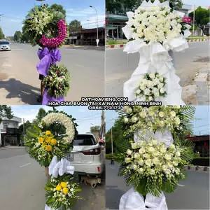 Hoa Chia Buồn tại Xã Nam Hồng, Ninh Bình