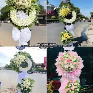Hoa Chia Buồn tại Xã Ninh Thạnh Lợi, Cà Mau
