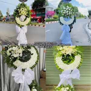Hoa Chia Buồn tại Xã Phú Hòa, Đồng Nai