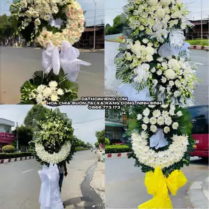 Hoa Chia Buồn tại Xã Rạng Đông, Ninh Bình