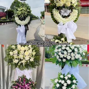 Hoa Chia Buồn tại Xã Trà Tân, Lâm Đồng