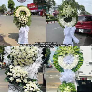 Hoa Chia Buồn tại Xã Xuân Lộc, Đắk Lắk