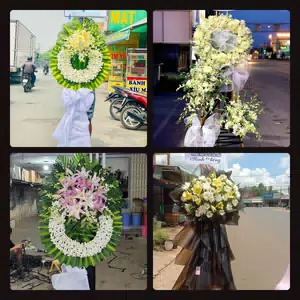 Hoa Tang Lễ Gio Linh Huyện Gio Linh