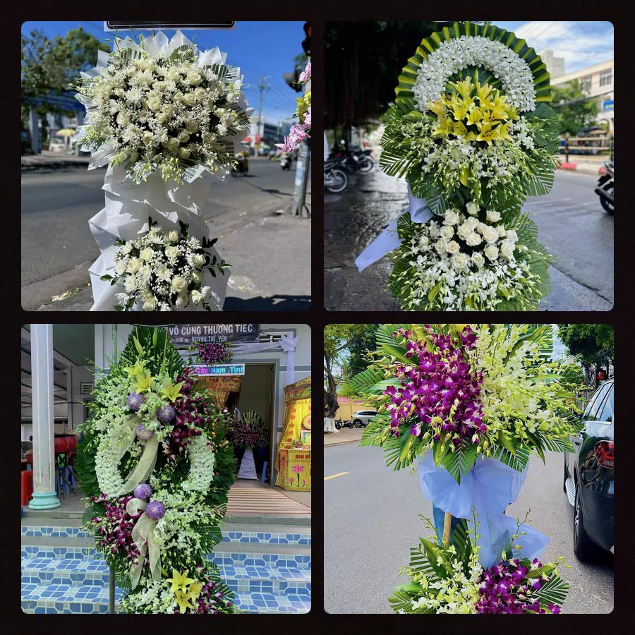 Hoa Tang Lễ Nhị Chiểu Hải Phòng
