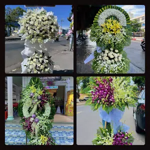 Hoa Tang Lễ Nhị Chiểu Hải Phòng