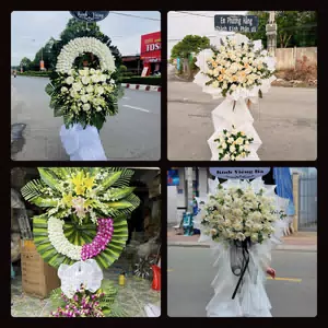 Hoa Tang Lễ Phú Khương Vĩnh Long