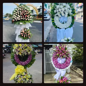 Hoa Tang Lễ Phường Hà Đông Hà Nội