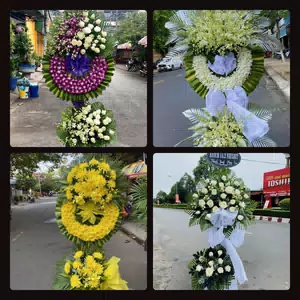 Hoa Tang Lễ Phường Trường Thi Ninh Bình