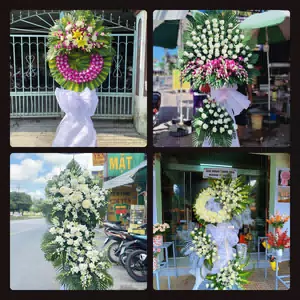 Hoa Tang Lễ Tam Sơn, Huyện Sông Lô