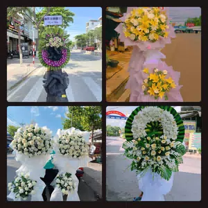 Hoa Tang Lễ Thành phố Huế Thừa Thiên Huế