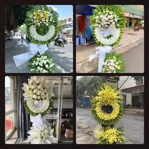 Hoa Tang Lễ Vĩnh Bảo Huyện Vĩnh Bảo
