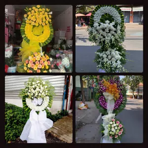 Hoa Tang Lễ Xã Bình Trưng Đồng Tháp