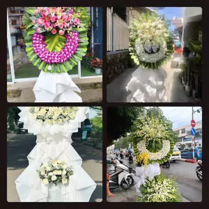 Hoa Tang Lễ Xã Hương Sơn Hà Nội