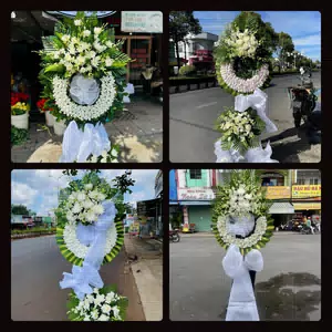 Hoa Tang Lễ Xã Mê Linh Hà Nội