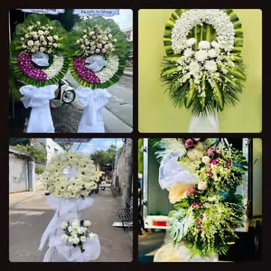 Hoa Tang Lễ Xã Tiên Lãng Hải Phòng