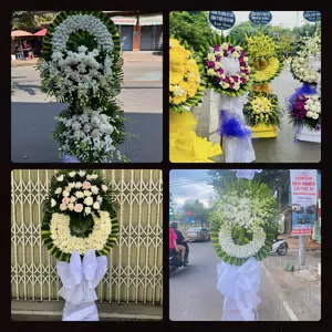 Hoa Tang Lễ Yên Ninh Huyện Yên Khánh