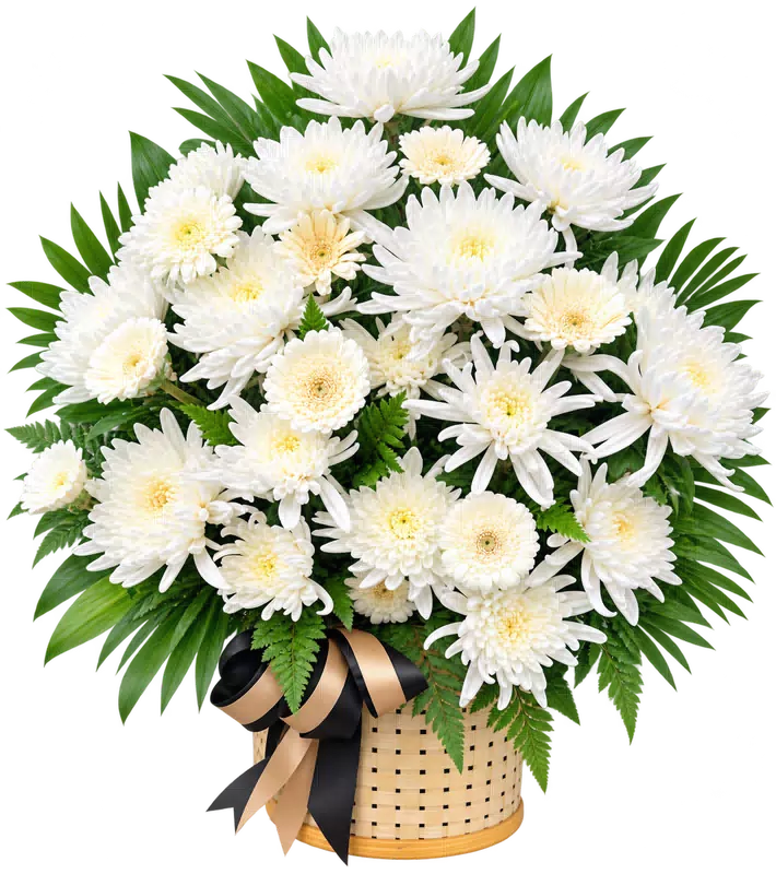Lẵng Hoa Chia Buồn Cúc Trắng