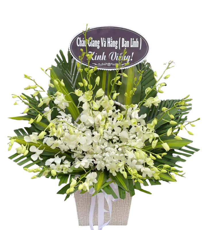 Lẵng Hoa Chia Buồn Lan Trắng 1 Tầng