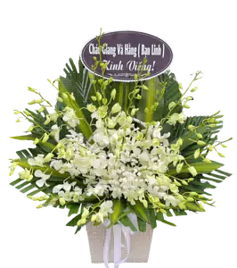 Lẵng Hoa Chia Buồn Lan Trắng 1 Tầng