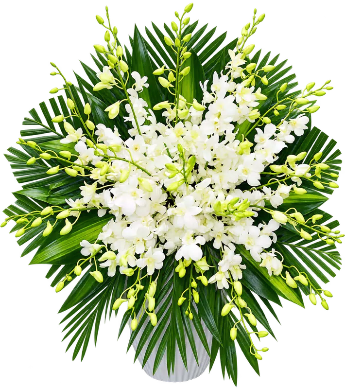 Lẵng Hoa Chia Buồn Lan Trắng