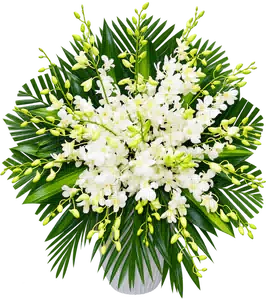 Lẵng Hoa Chia Buồn Lan Trắng