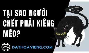 Tại sao người chết phải kiêng mèo?