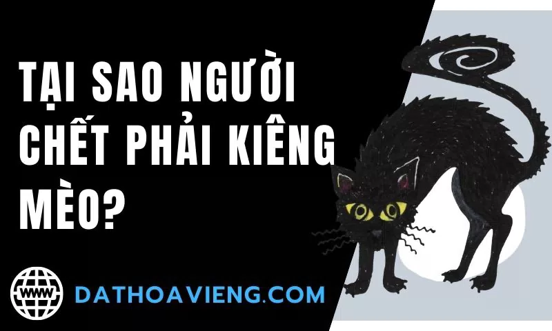 Tại sao người chết phải kiêng mèo?